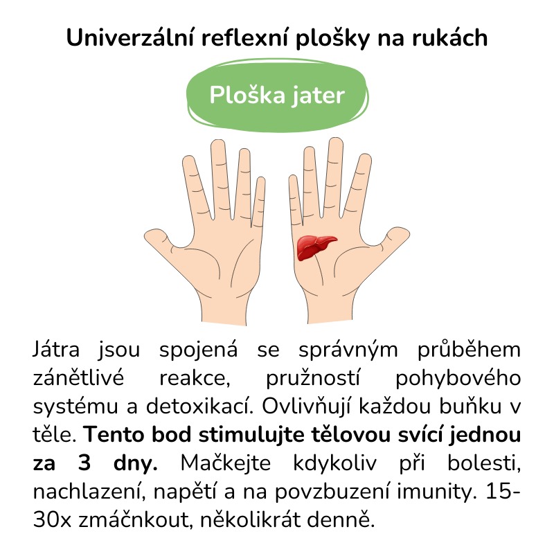 Reflexní bod jater