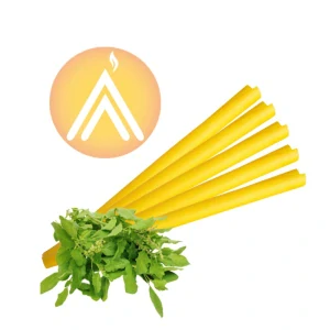 Tělová svíce Ananda konická s Tulsi - posvátnou bazalkou